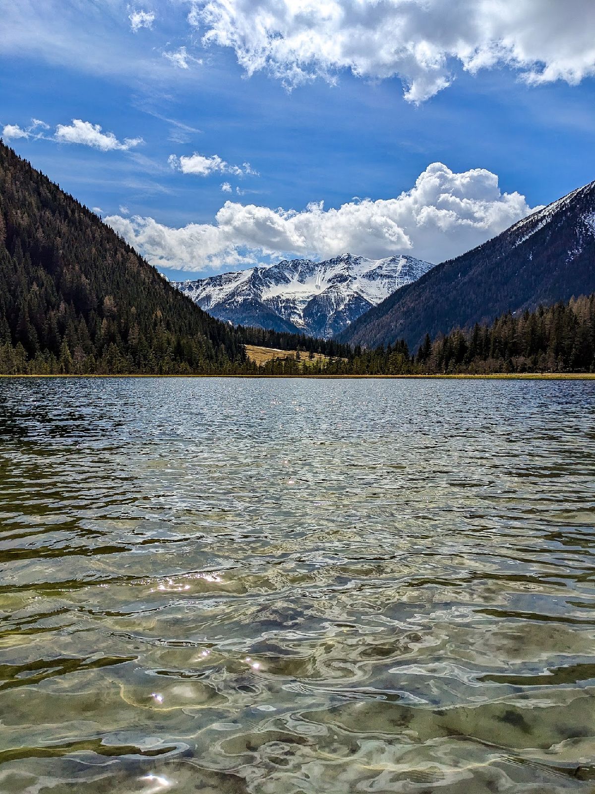 View of the Alps near the Stappitzer lake