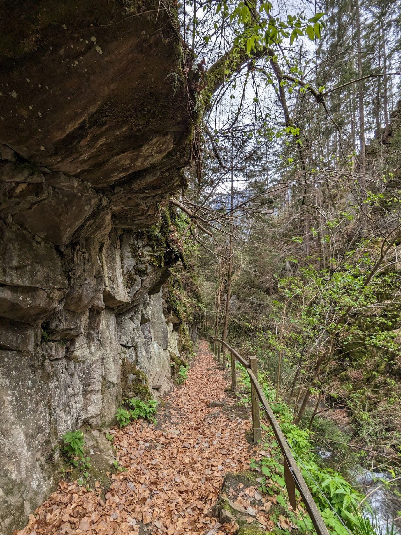 A trail at Barbarossaschlucht