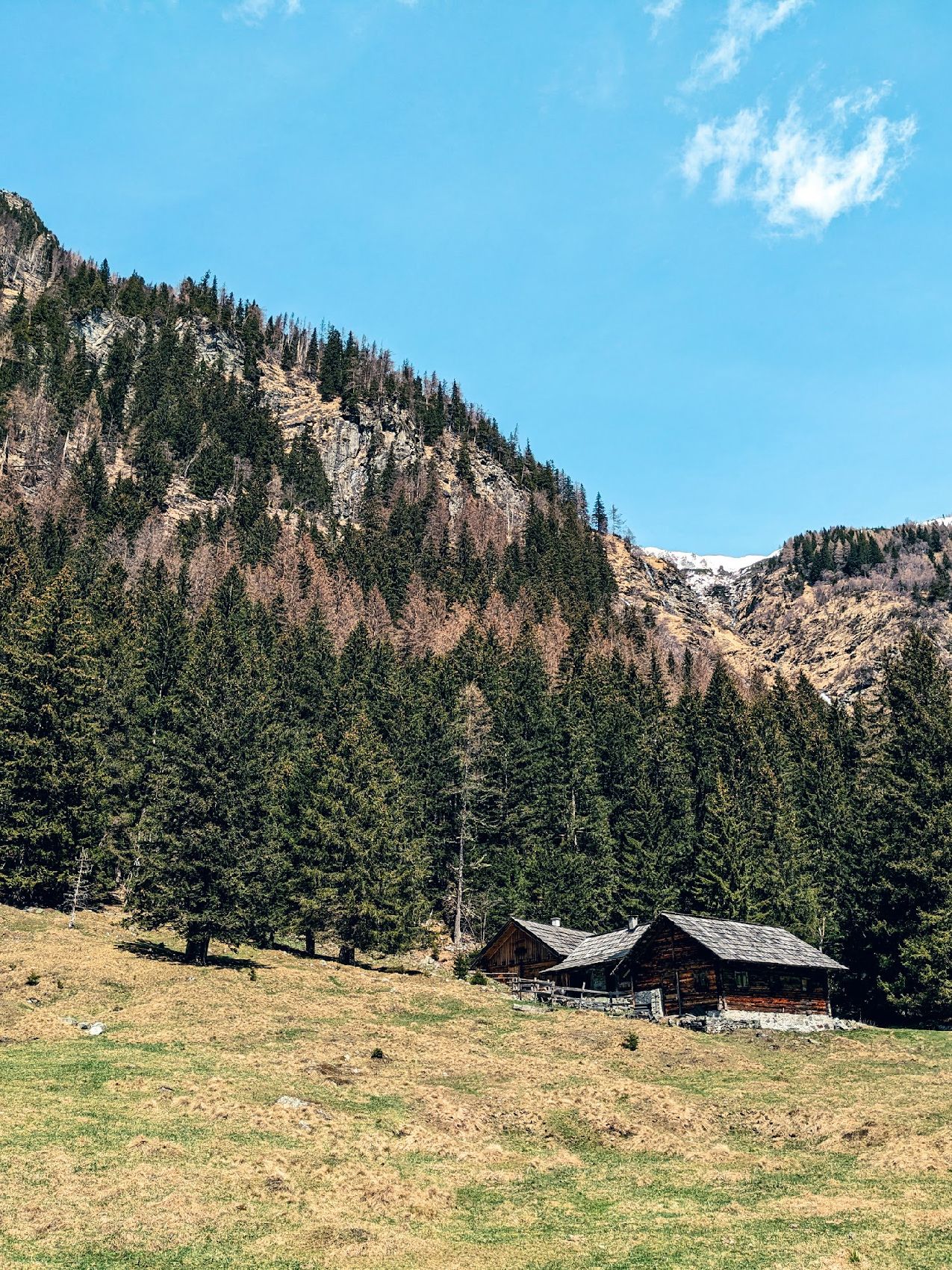 Cottages near the trail