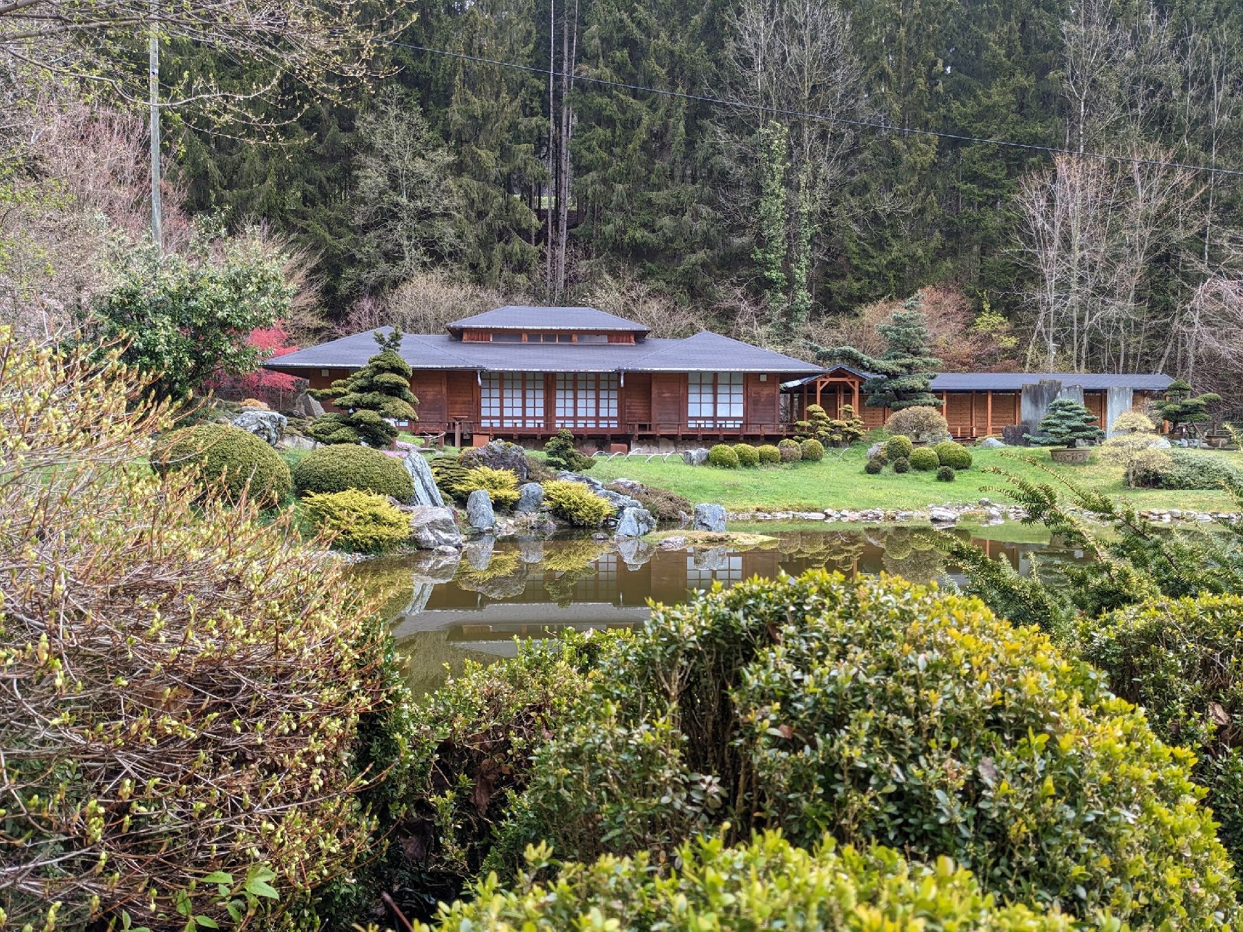 The Bonsai Museum